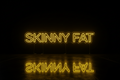 PROTOKÓŁ SKINNY FAT